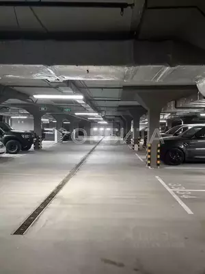 Фото к объявлению #22247747