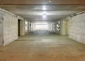 Фото к объявлению #22160958