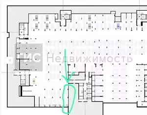 Фото к объявлению #22249679