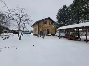 Фото к объявлению #21919757