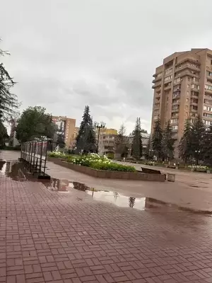 Фото к объявлению #22172509