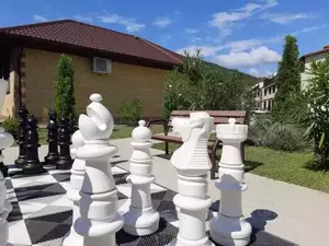 Фото к объявлению #20288486