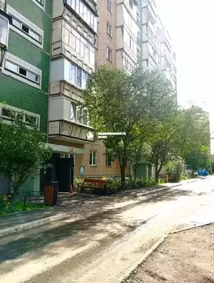 Фото к объявлению #22204220