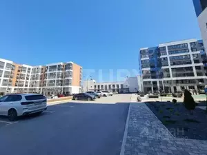 Фото к объявлению #21144998