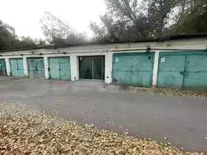 Фото к объявлению #21237598