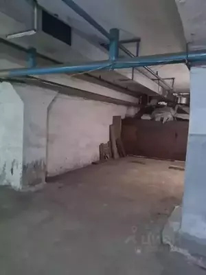 Фото к объявлению #22247389