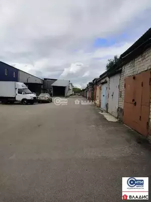 Фото к объявлению #20823768