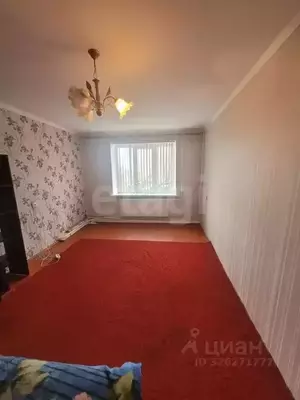 Фото к объявлению #22284254