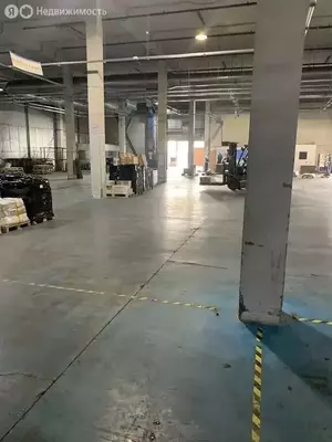 Фото к объявлению #21387350