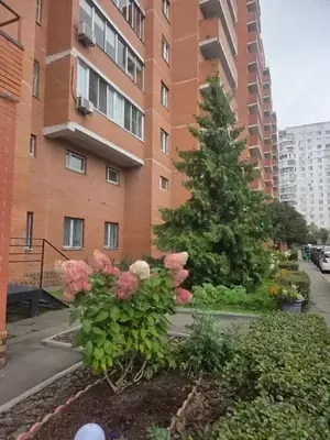 Фото к объявлению #22229042