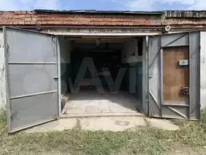 Фото к объявлению #21263669