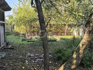 Фото к объявлению #21660837