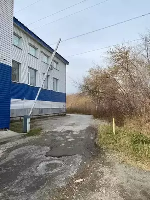 Фото к объявлению #21904289