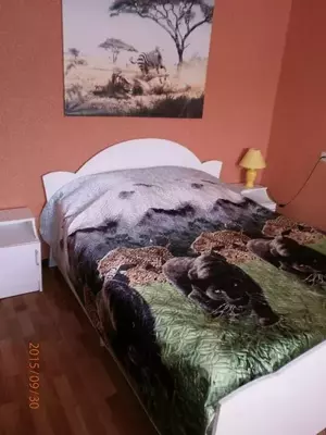 Фото к объявлению #21940324