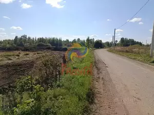 Фото к объявлению #22230848