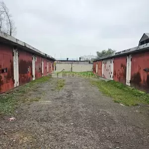 Фото к объявлению #22208491