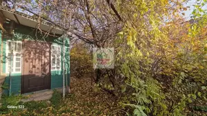 Фото к объявлению #21937148