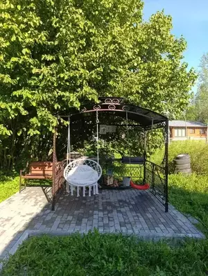 Фото к объявлению #22165592