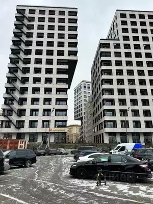 Фото к объявлению #22288126