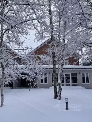 Фото к объявлению #20842954