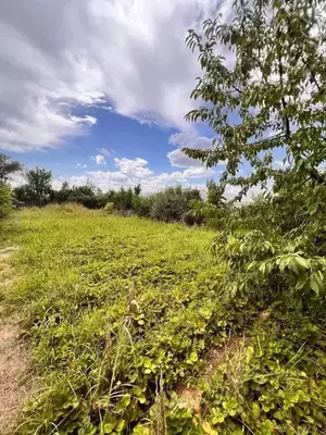 Фото к объявлению #22187823