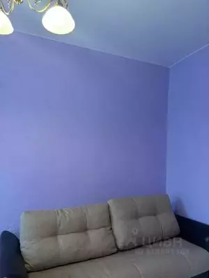 Фото к объявлению #22115989