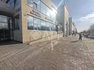 Фото к объявлению #22059130