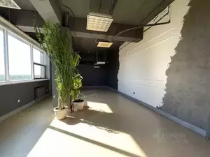 Фото к объявлению #22233195