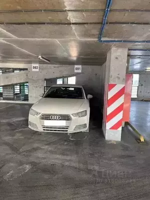 Фото к объявлению #22213326