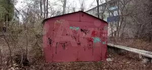 Фото к объявлению #21738967