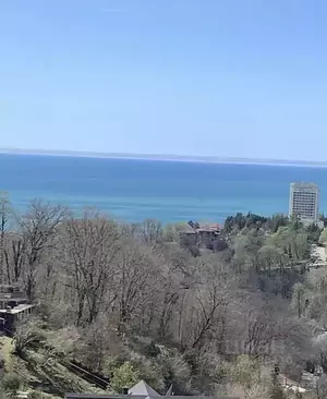 Фото к объявлению #21300371