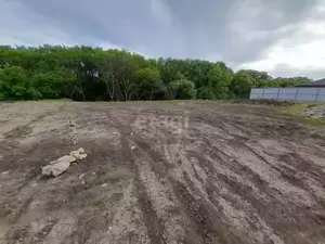 Фото к объявлению #22177514