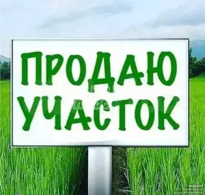 Фото к объявлению #21433159