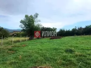 Фото к объявлению #21378218