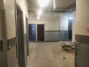 Фото к объявлению #22050771