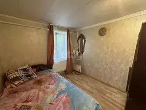 Фото к объявлению #21077740
