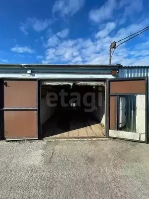 Фото к объявлению #22255340