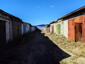 Фото к объявлению #22266211