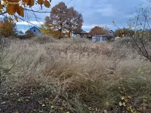 Фото к объявлению #22198186