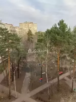 Фото к объявлению #20151089