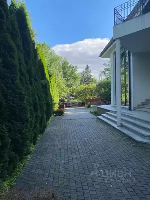 Фото к объявлению #21524262