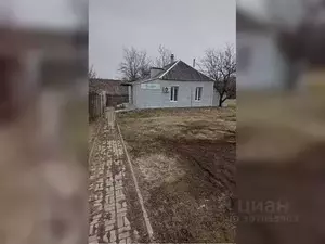 Фото к объявлению #21133710