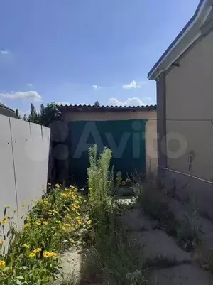 Фото к объявлению #20760233