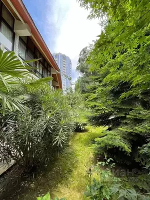 Фото к объявлению #21839931