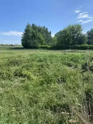 Фото к объявлению #20983182