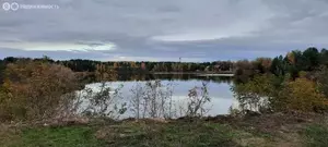 Фото к объявлению #21974045