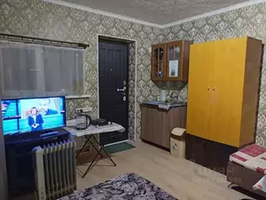 Фото к объявлению #22040023