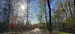 Фото к объявлению #