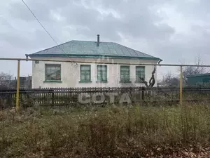 Фото к объявлению #20708606