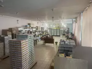 Фото к объявлению #20788539